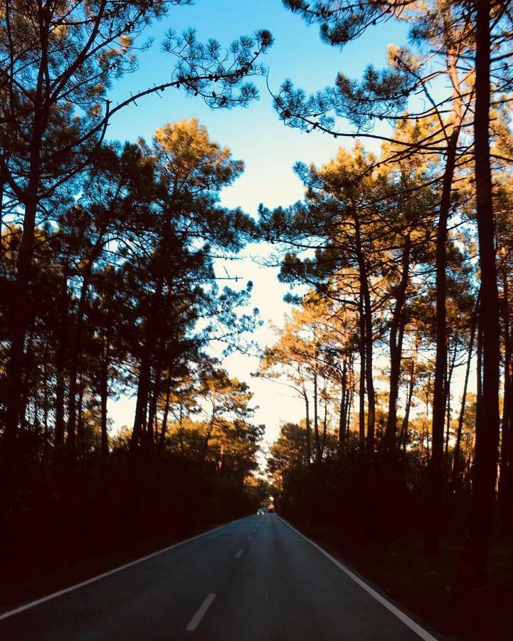 Vila Casadaeiradeangeja Exteriér fotografie